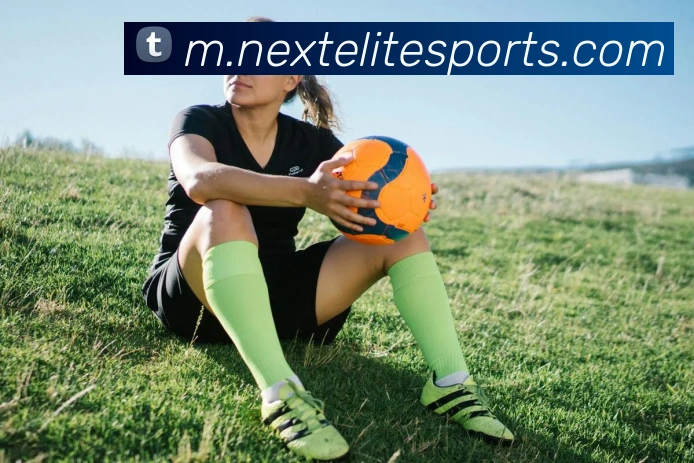 球赛投注平台生态图